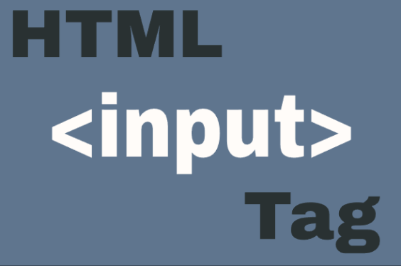 HTML <input> Element